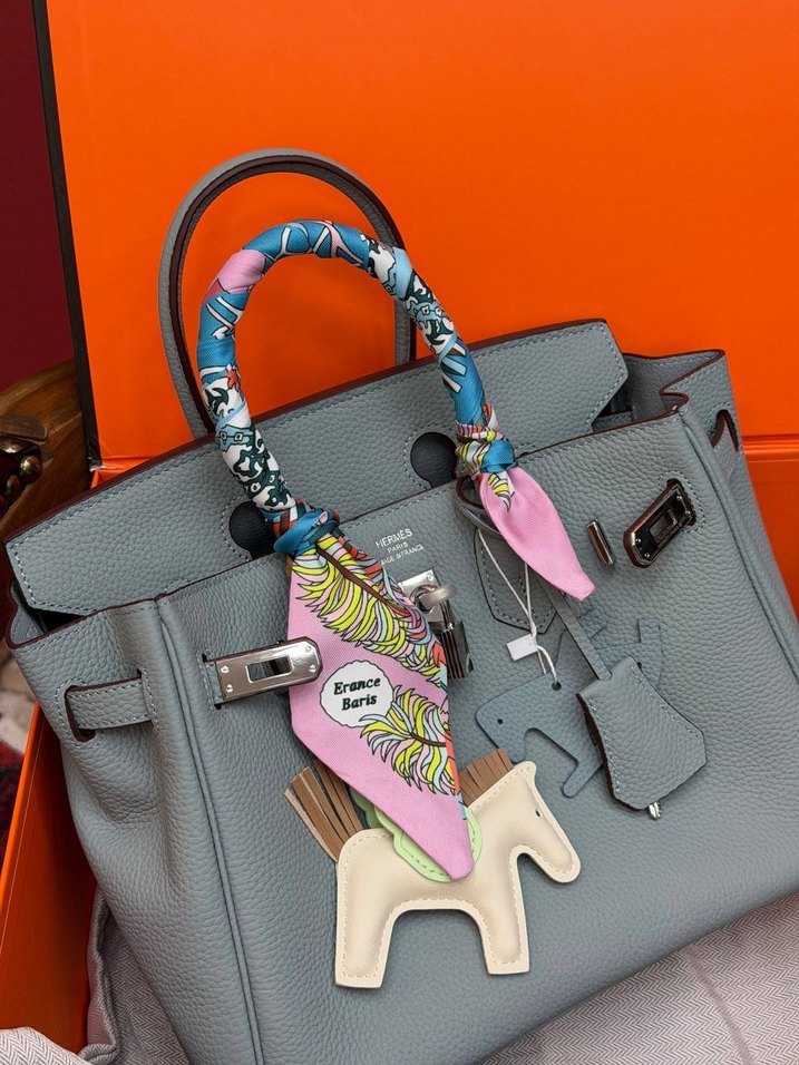 Hermes Birkin 25 Silver — görsel 15/21