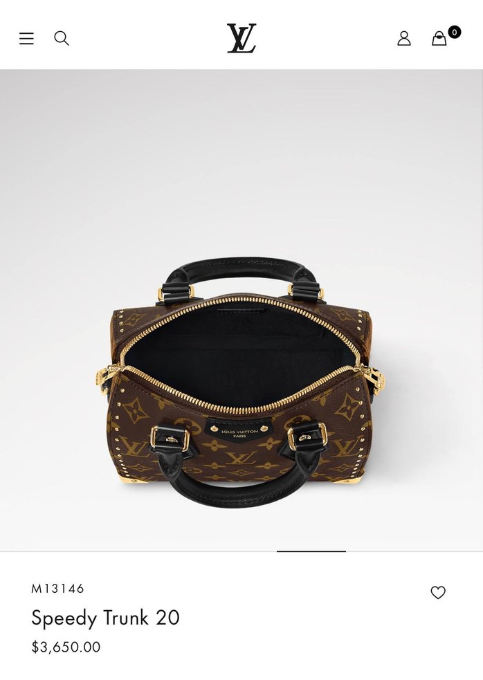 LOUİS VUİTTON PREMİUM BAGS — görsel 6/19