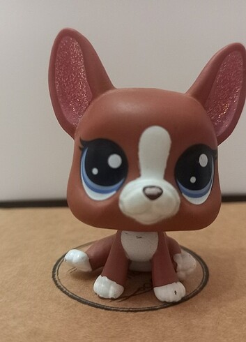 Lps miniş 