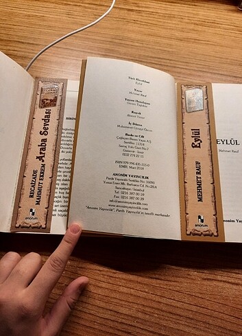 Eylül & Araba Sevdası kitap