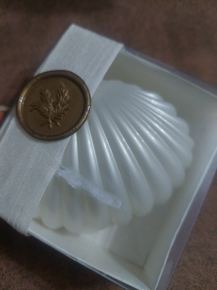 Deniz Kabuğu Şeklinde Mum hediyelik - Görsel 2