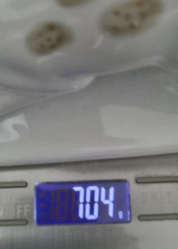 Beyaz Altın Detaylı Geyik Biblosu - Görsel 8