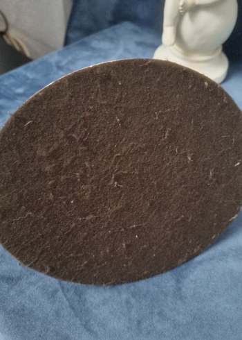 Kahverengi Çita Ailesi Biblo - Görsel 4