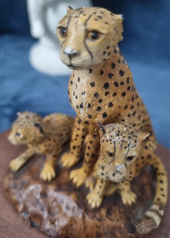 Kahverengi Çita Ailesi Biblo - Görsel 6