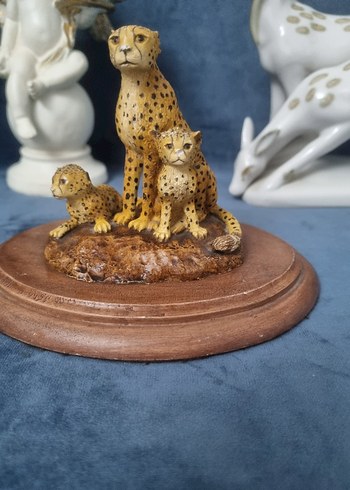 Kahverengi Çita Ailesi Biblo - Görsel 2