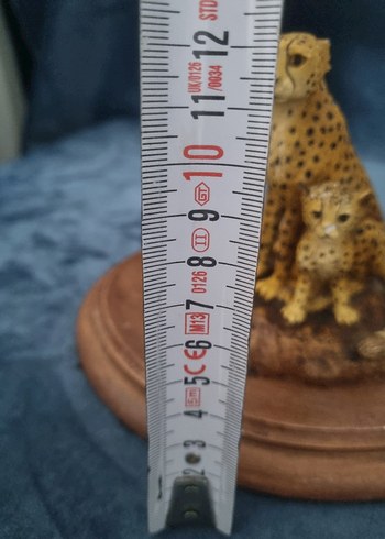 Kahverengi Çita Ailesi Biblo - Görsel 5