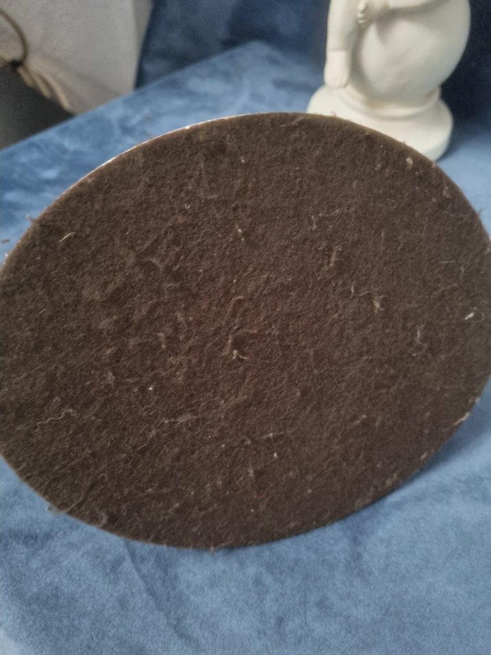 Kahverengi Çita Ailesi Biblo - Görsel 4