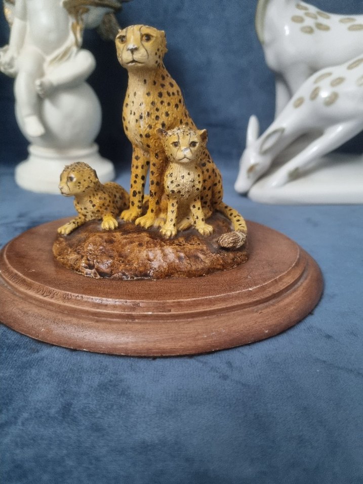 Kahverengi Çita Ailesi Biblo - Görsel 2