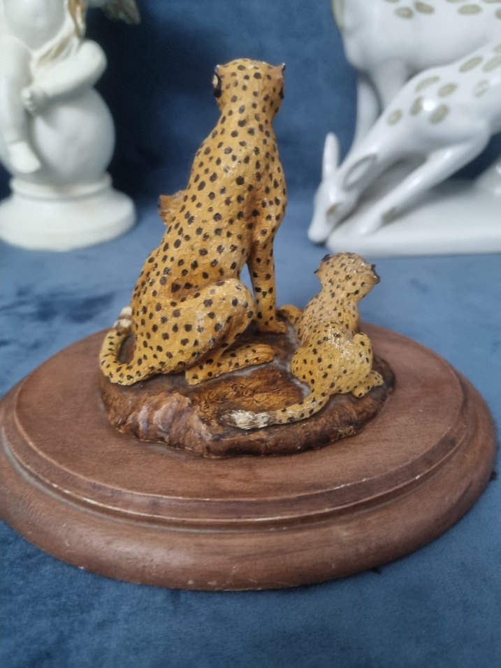 Kahverengi Çita Ailesi Biblo - Görsel 3