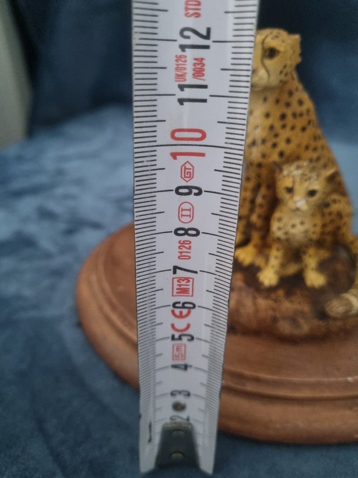 Kahverengi Çita Ailesi Biblo - Görsel 5