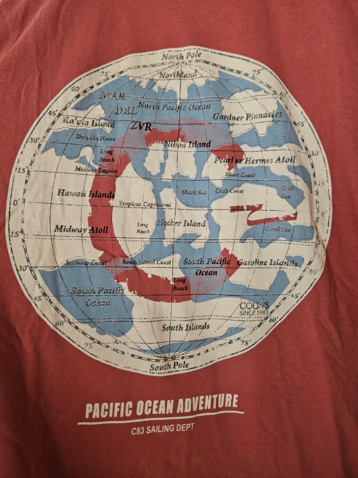 Colin's Baskılı Pamuklu Erkek Tişört - Görsel 2