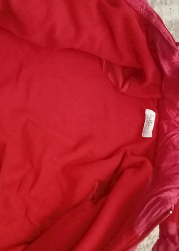 Erkek Çocuk Kapüşonlu Fermuarlı kırmızı Mont - Görsel 3