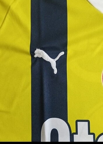 l/xl Beden sarı Renk Fenerbahçe forma yeni paketli