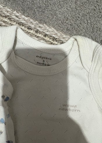 Erkek Bebek Pamuklu Kolsuz Body Seti - Görsel 3