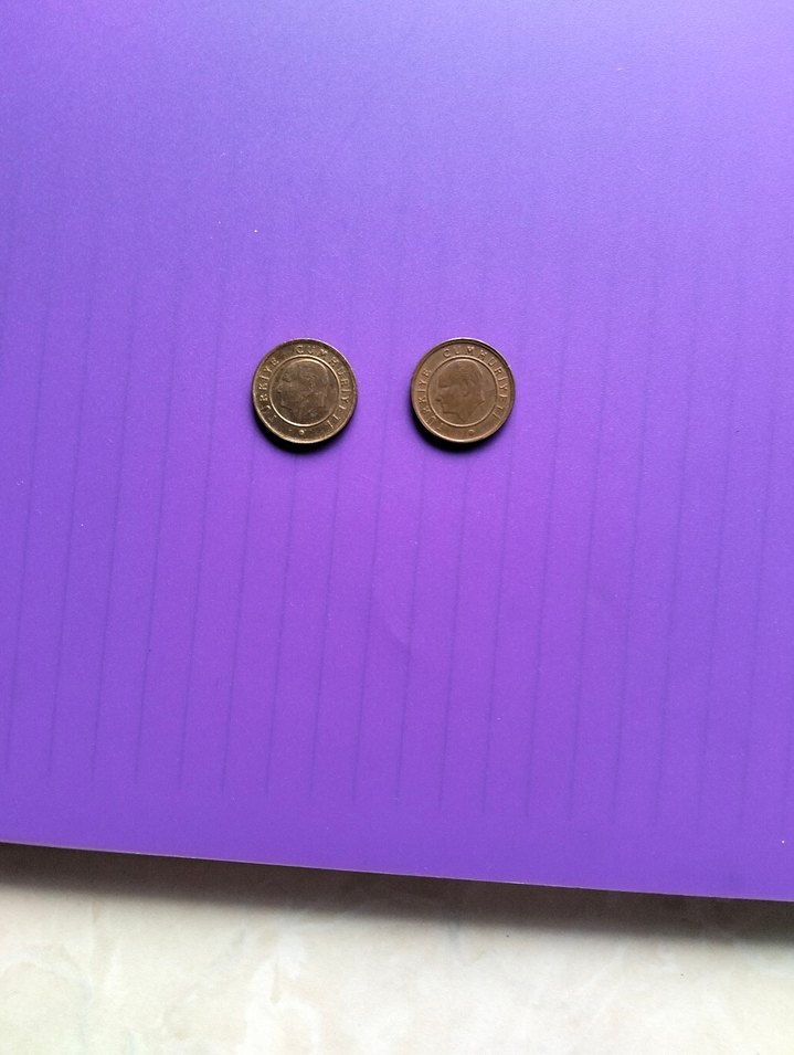 2 adet 2013 bir kuruş - Görsel 2