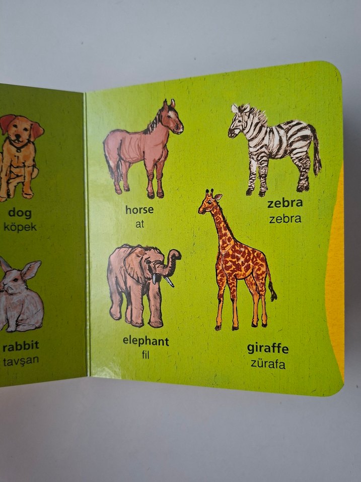 Mini Resimli İngilizce-Türkçe Sözlük - Görsel 2