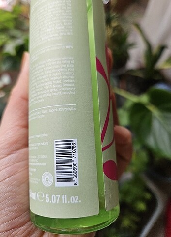 Urban biberiye karanfil saç bakım suyu - Görsel 4