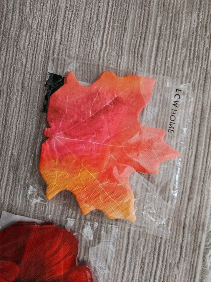 Bohem Tarzda Renkli Yaprak ve Kırmızı Çiçek peçete - Görsel 2