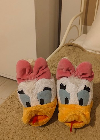 Walt Disney World 23