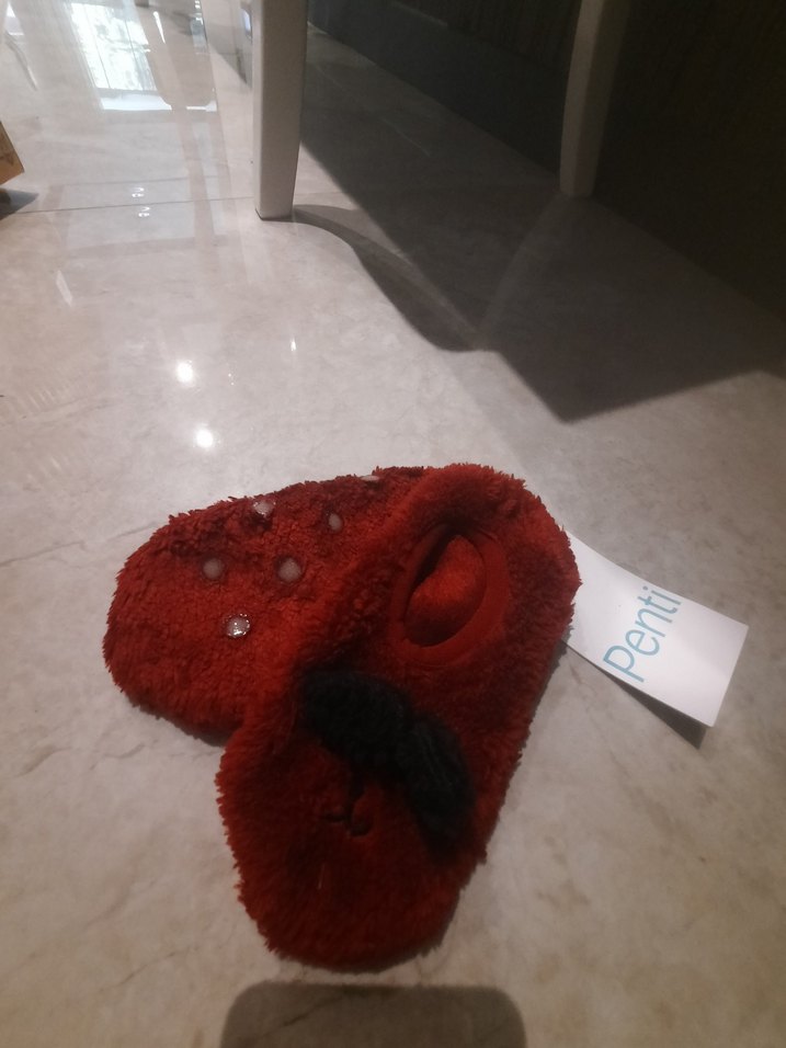 Kız Çocuk 27-30 penti patik - Görsel 4