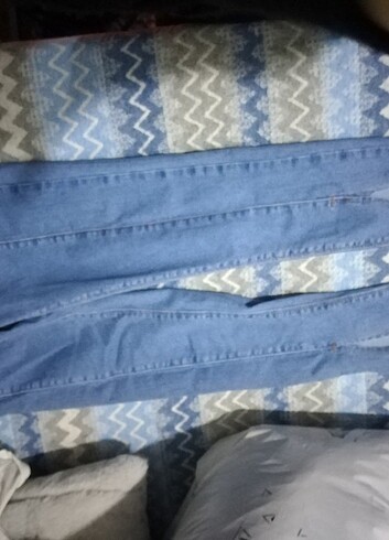 Kot Jean 