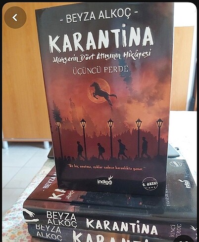 Karantina serisi 3.kitap