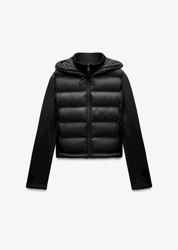 zara mont