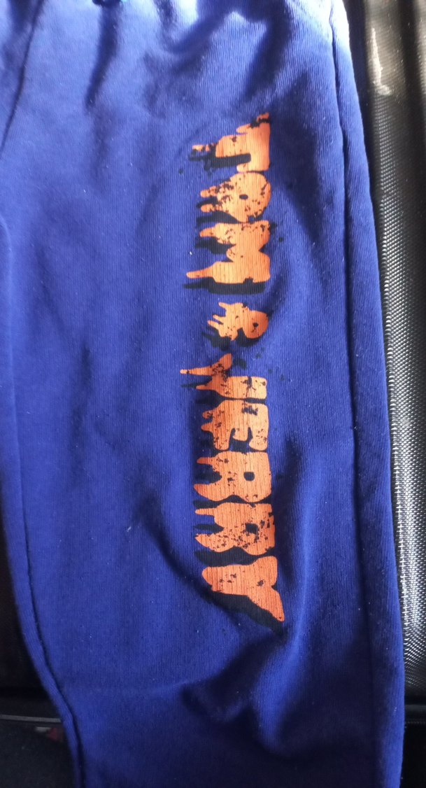 Erkek Çocuk Mavi Baskılı Rahat Eşofman Altı - Görsel 4