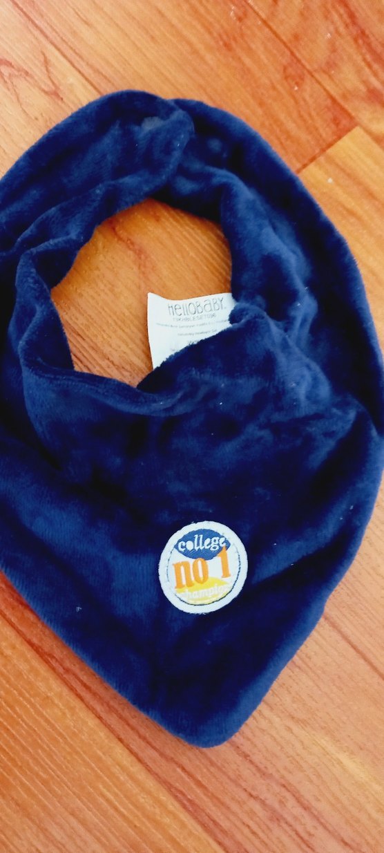 Mavi Parlak Baskılı Bebek Önlüğü - Görsel 2