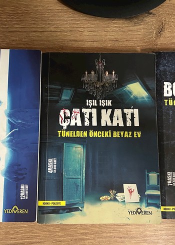 Işıl Işık - Tünelden Önceki Beyaz Ev Serisi