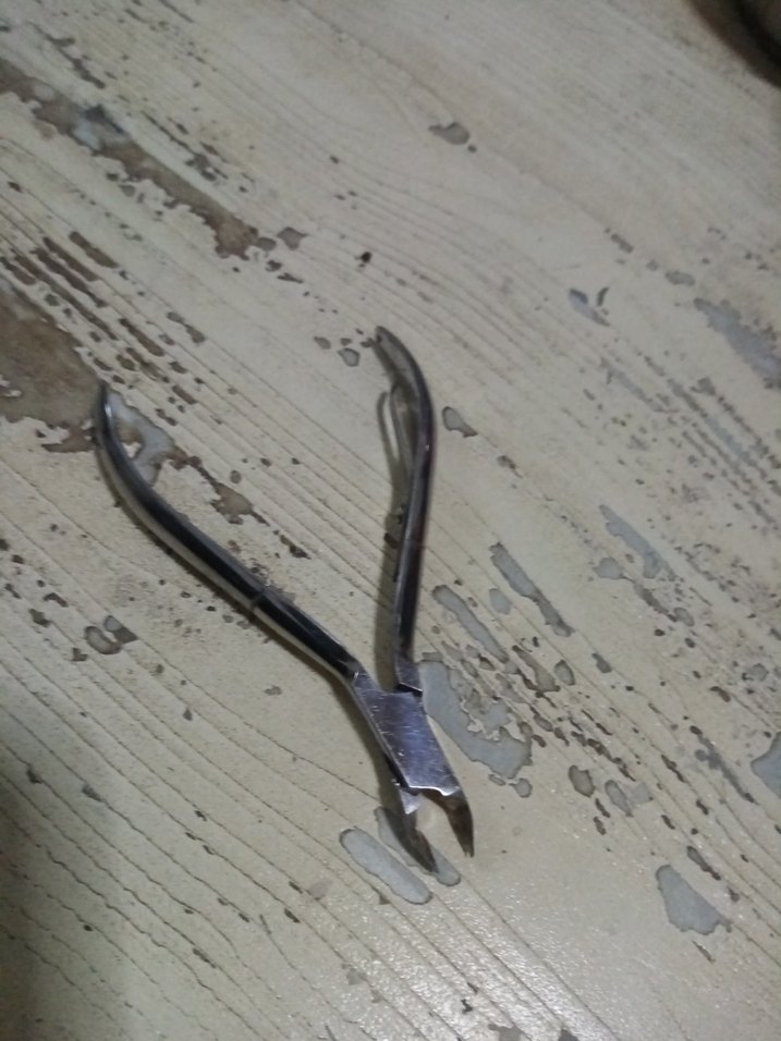 Gri Tırnak Eti Makası - Görsel 4