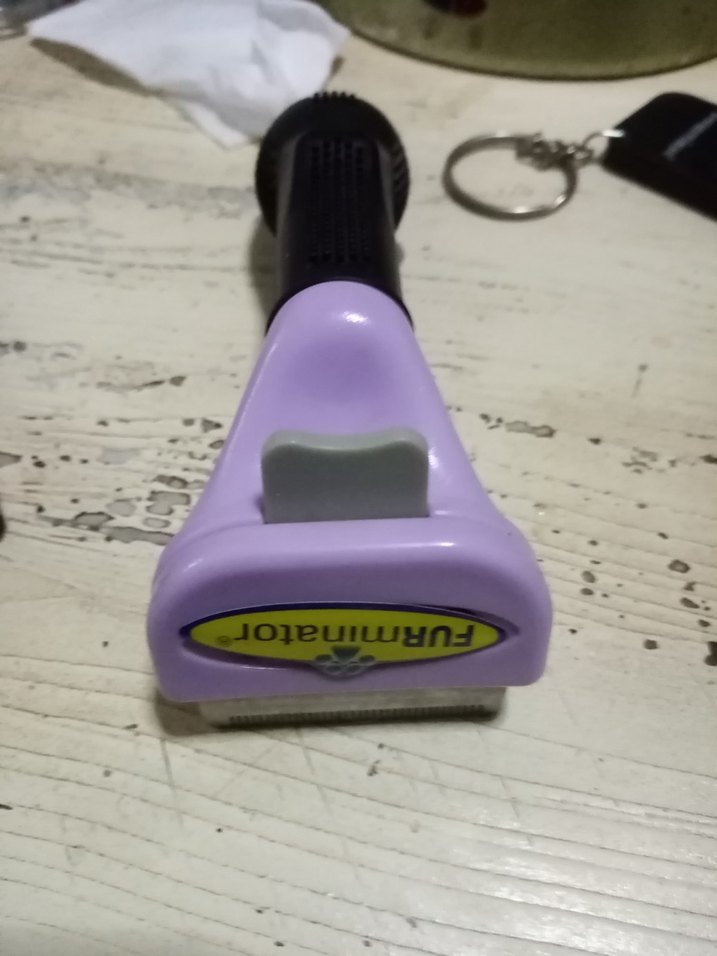 Mor Tüy Toplayıcı Kedi Tarağı - Görsel 4