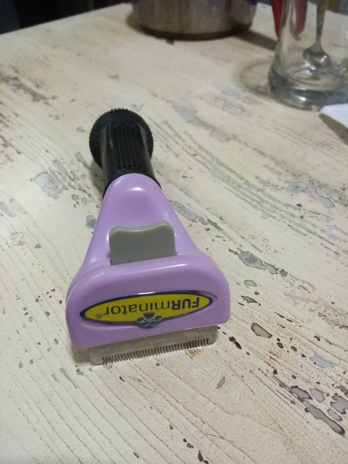 Mor Tüy Toplayıcı Kedi Tarağı - Görsel 5