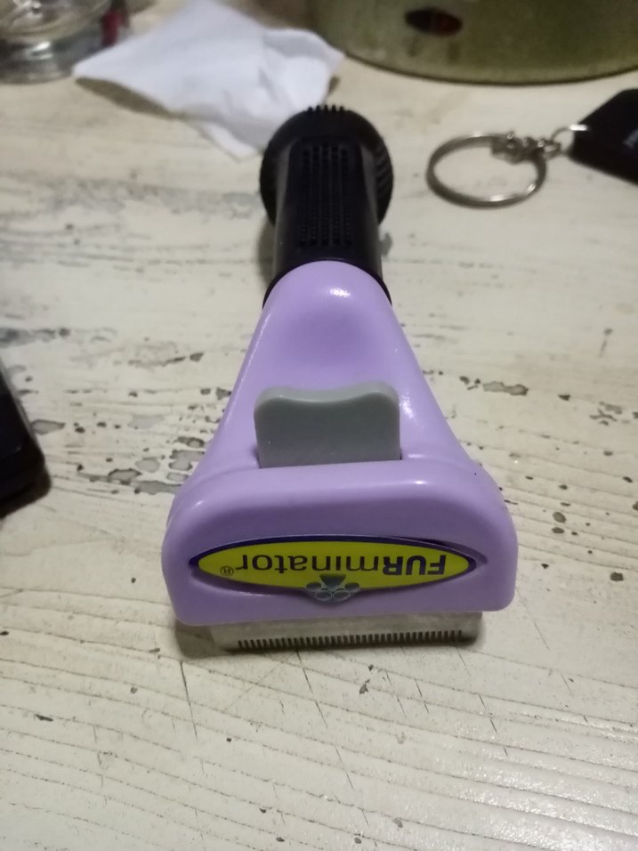 Mor Tüy Toplayıcı Kedi Tarağı - Görsel 3