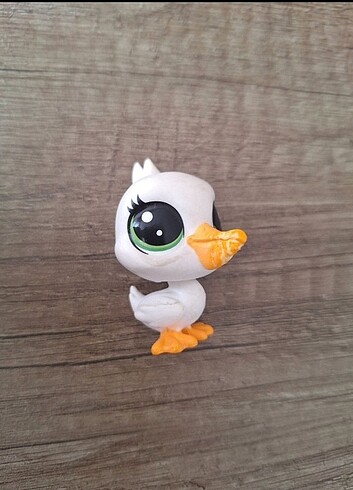 2'li LPS miniş