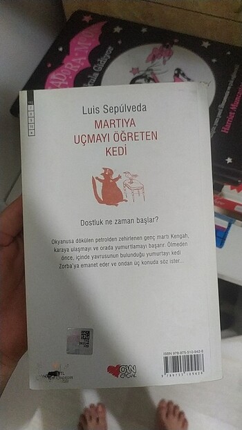 martıya uçmayı öğreten kedi