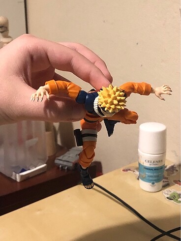 Shf Nardo