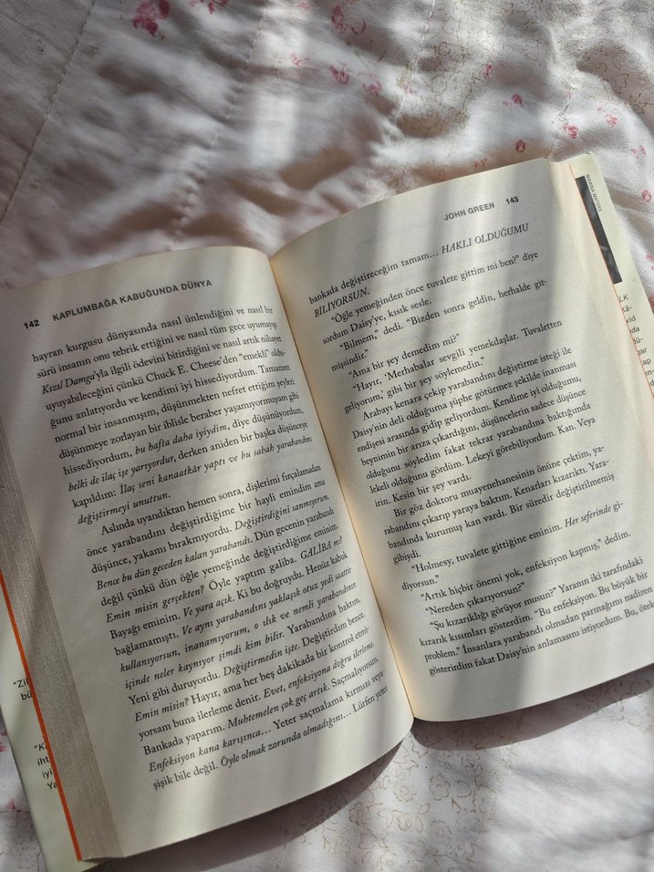 Kaplumbağa Kabuğunda Dünya - John Green - Görsel 3