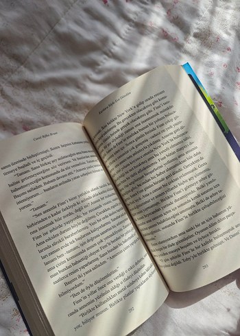 Kurtlara Söyle Eve Döndüm - Carol Rifka Brunt - Görsel 2