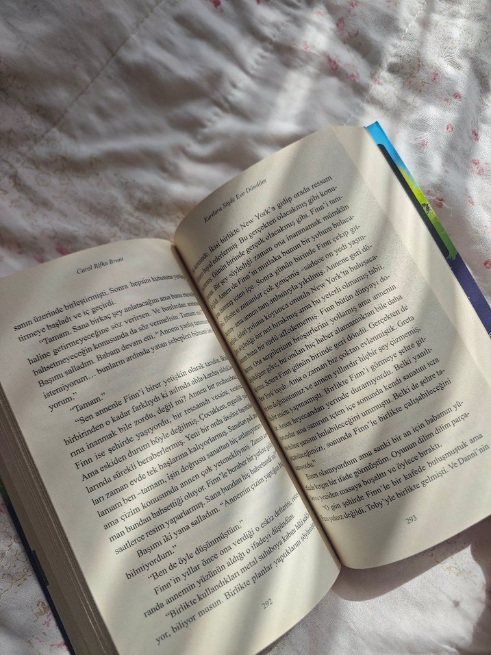Kurtlara Söyle Eve Döndüm - Carol Rifka Brunt - Görsel 2