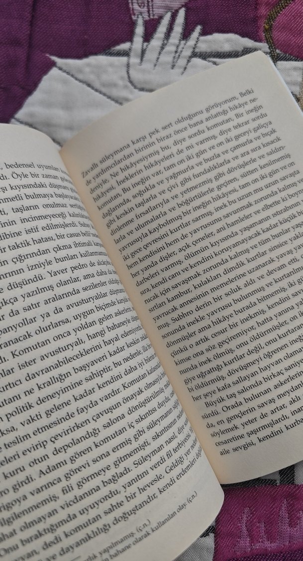 Filin Yolculuğu - José Saramago - Görsel 3