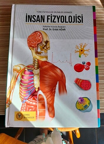 İnsan fizyolojisi 