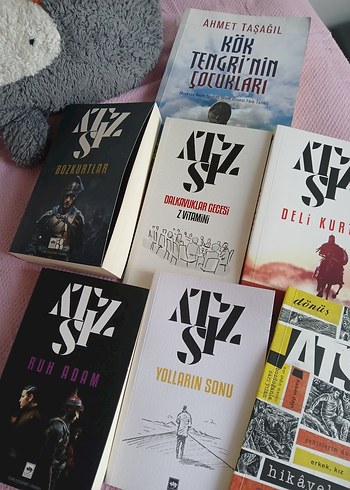 Bozkurtlar ve Diğerleri - Atsız Roman Seti - Görsel 2