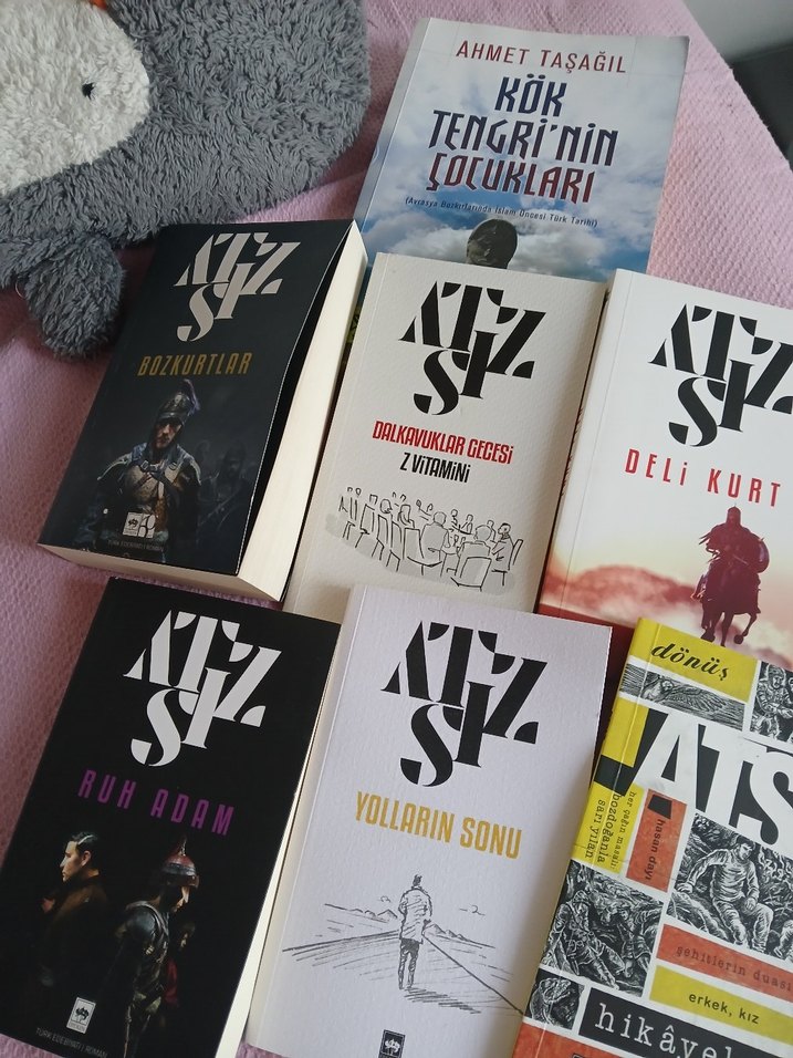 Bozkurtlar ve Diğerleri - Atsız Roman Seti - Görsel 2