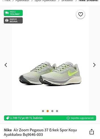 Nike pegasus 37