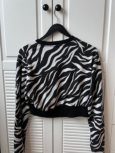 Diğer Zebra desen kazak