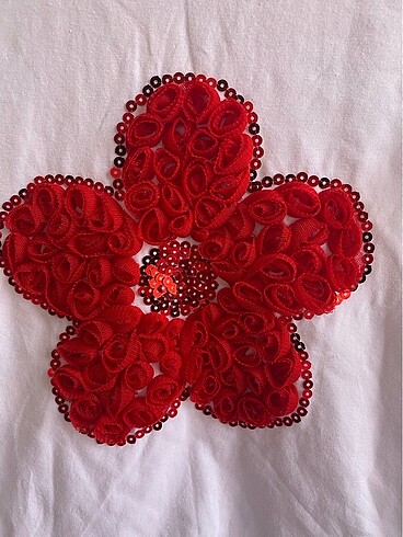 Tütü etek ve tişörtler - Görsel 13