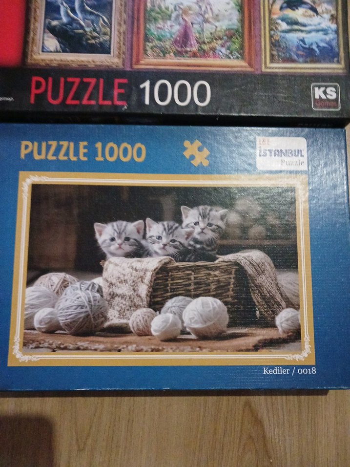 Çok Renkli 1000 Parça Puzzle Seti - Görsel 5