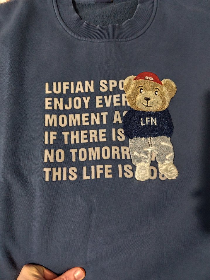 Mavi Baskılı erkek Sweatshirt - Görsel 3