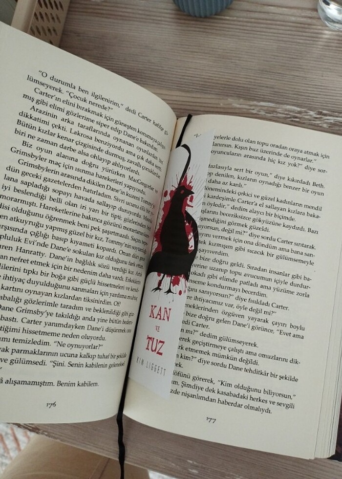 Kan ve Tuz / KIM LIGGETT - Görsel 3